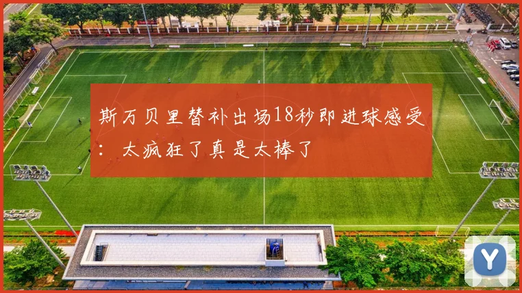斯万贝里替补出场18秒即进球感受：太疯狂了真是太棒了
