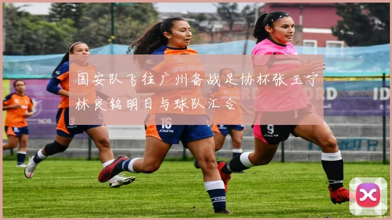 国安队飞往广州备战足协杯张玉宁林良铭明日与球队汇合