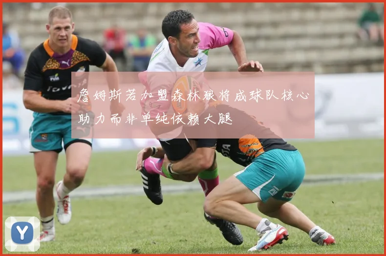 詹姆斯若加盟森林狼将成球队核心助力而非单纯依赖大腿
